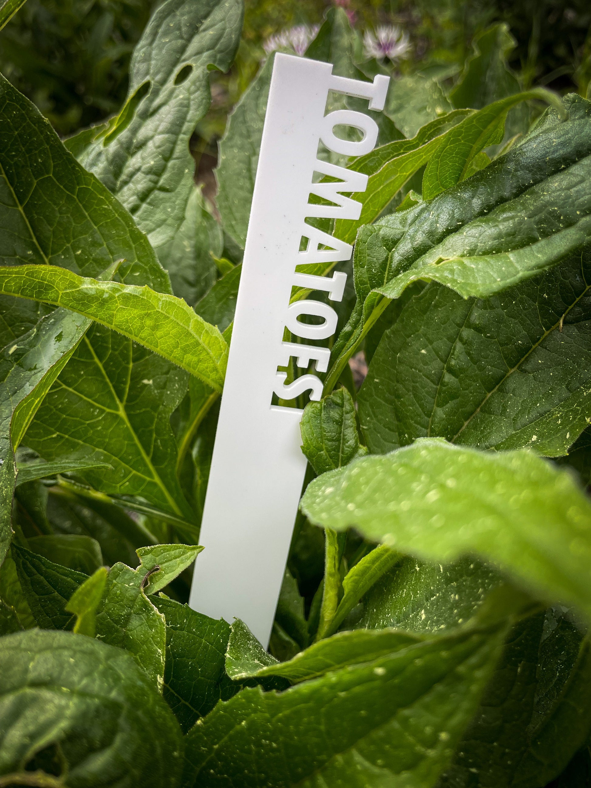 Garden Stake Stick Markers | Custom Garden Identification Stakes | Gardening Gift | Backyard Garden Tools