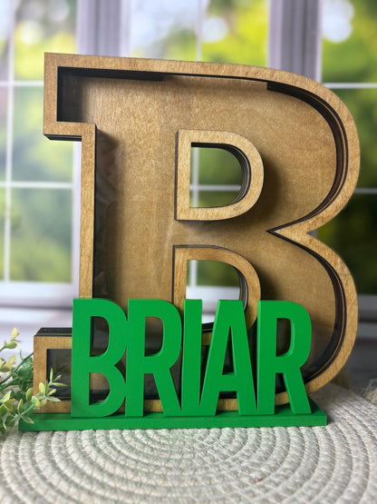 Piggie Bank EXTRA Spacer Insert ONLY